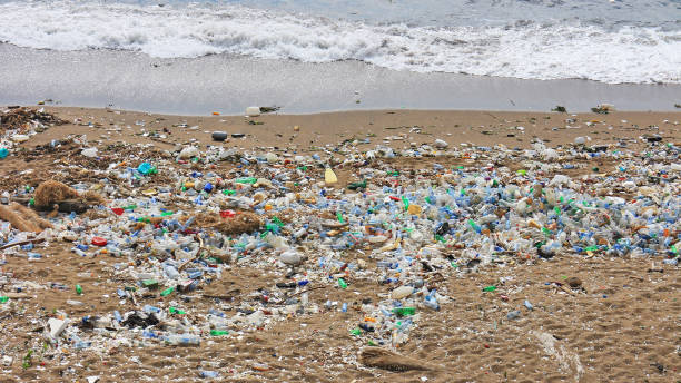 Coastline covered in plastic waste washed ashore